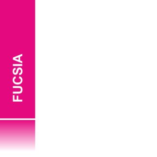 Pasta di Zucchero Fucsia 250g