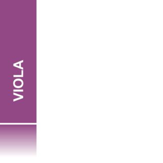 Pasta di Zucchero VIOLA 500g
